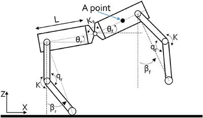Influence of Compliant Joints in Four-Legged Robots